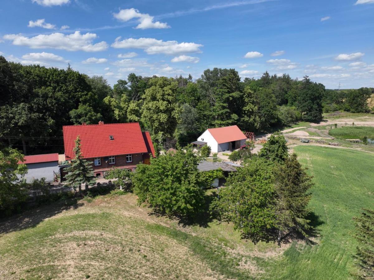 Osada Narost 37 Hotell Chojna Exteriör bild